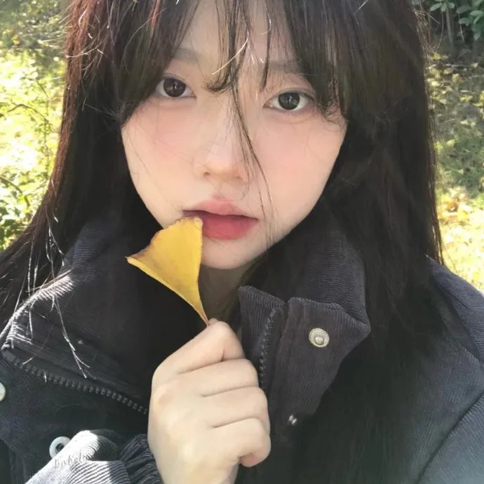 乡村爱情12